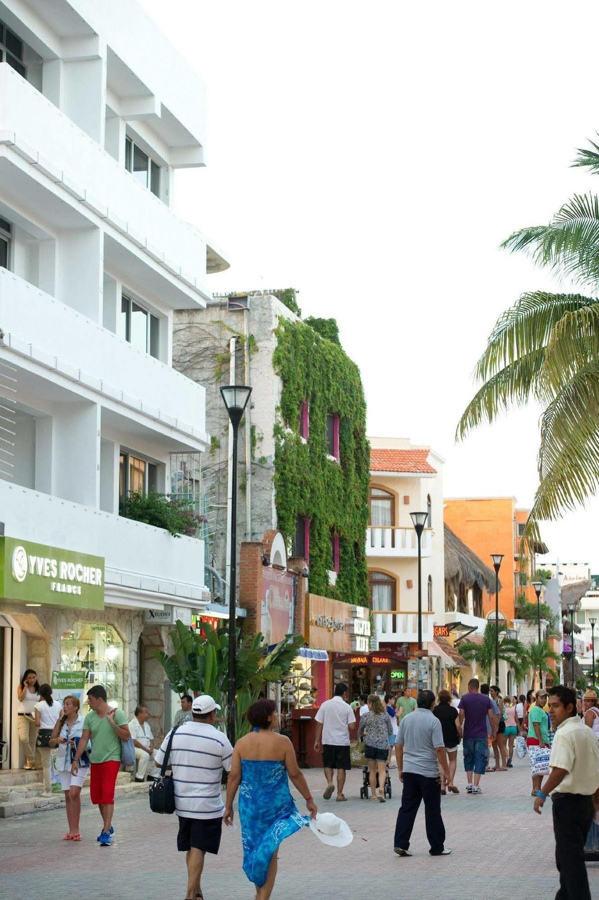 5th Avenue Sol Del Caribe By Bfh Apartahotel